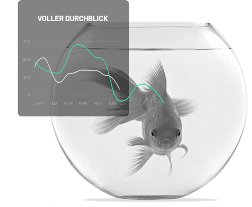 Voller Durchblick_minubo Voller Durchblick_minubo