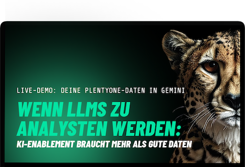 Webinar mit PlentyONE