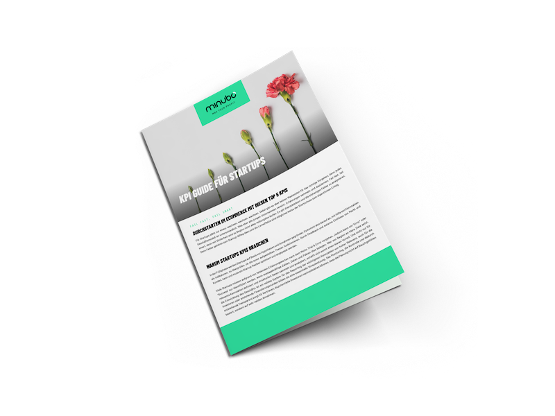 Paper_KPI_Startups_mockup