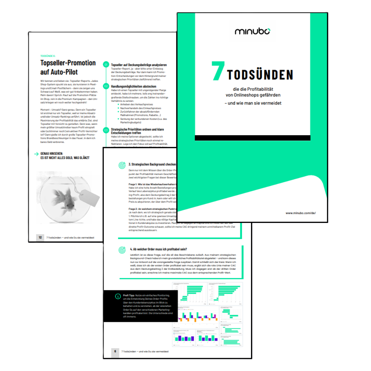 minubos Whitepaper zur Profitabilität minubos Whitepaper zur Profitabilität