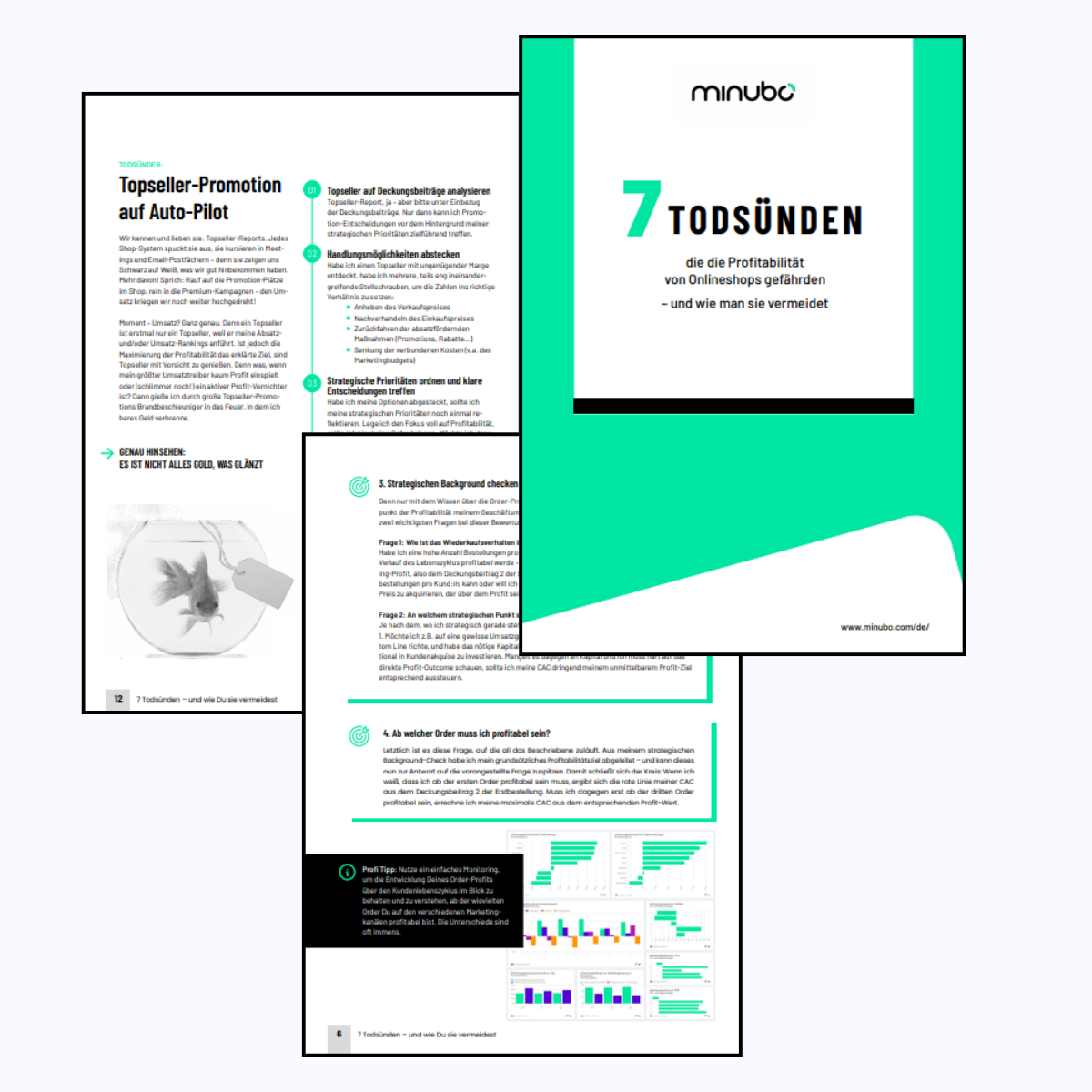 Preview des Profit Papers Preview des Profit Papers